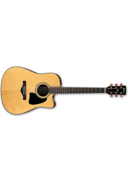 Elektro Akustik Gitar Cutaway :ıbanez Çin