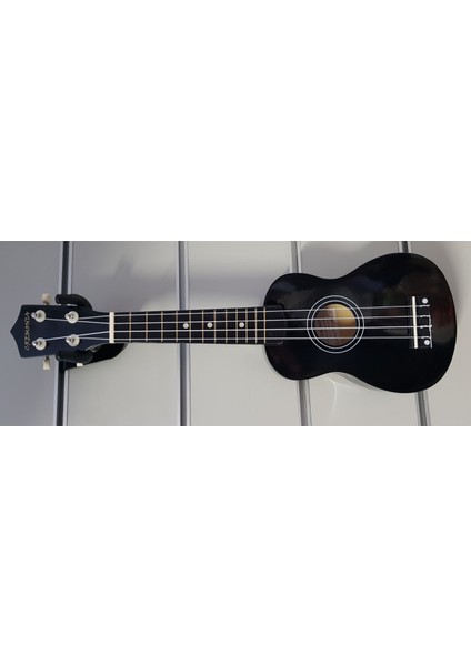 Ukulele 21" Siyah