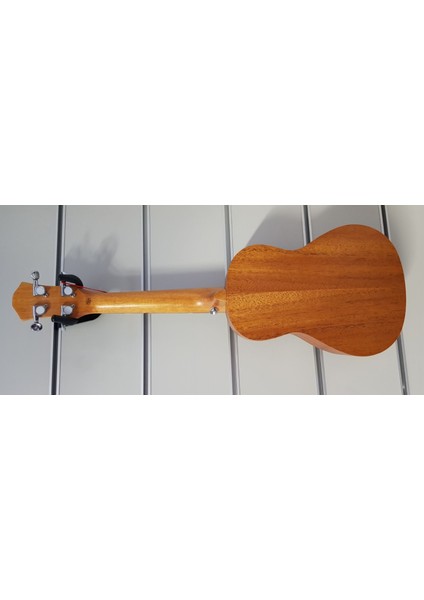 Ukulele 23" Concert fiyatları