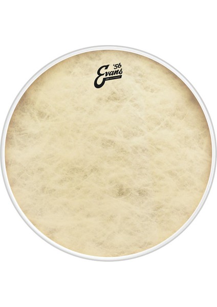 Deri 20 Eq4 Calftone Kick ve Resonant Sentetik Rin