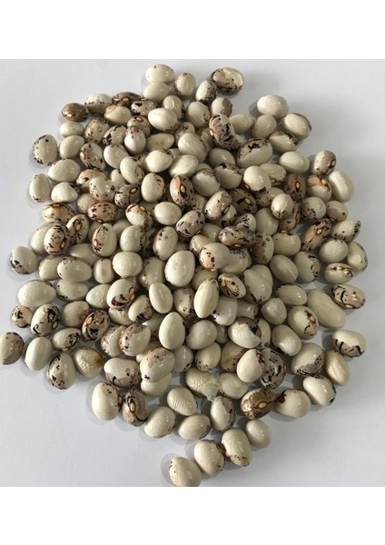 Yerli Ayşe Kadın Oturak Fasulye Tohumu 100 gr (Kahve Çizgili Beyaz)