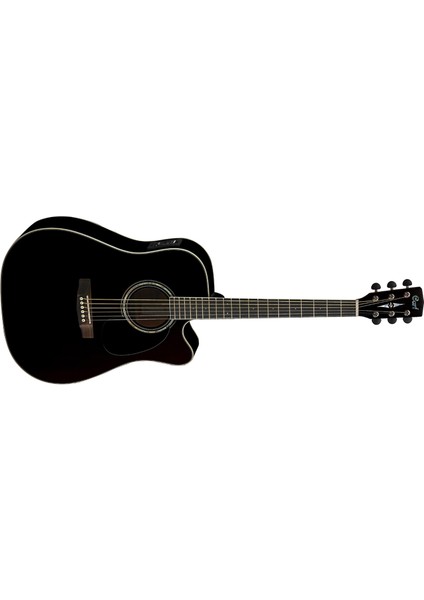 Elektro Akustik Gitar, Siyah, Fıshman