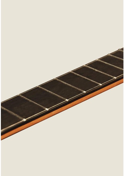 Elektro Klasik Gitar Ladin Kapak Fıshman Pro Blend modelleri