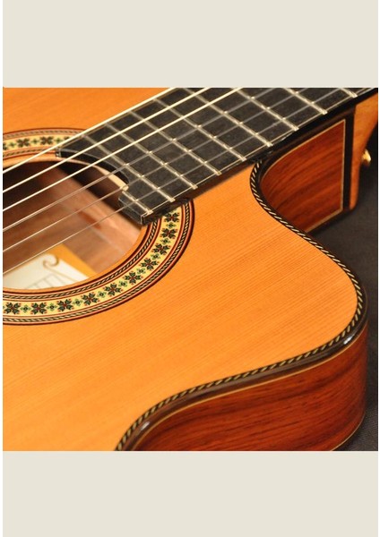 Elektro Klasik Gitar Ladin Kapak Fıshman Pro Blend indirimleri