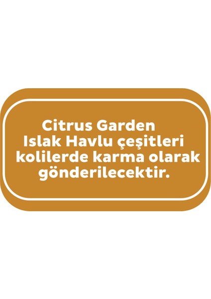 Citrus Garden Islak Bebek Havlusu 12X90 (1080 YAPRAK)