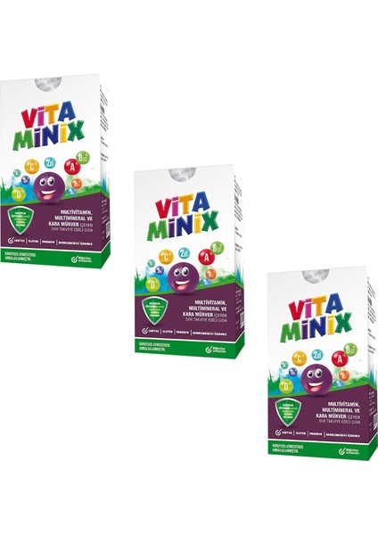 Vitamınix Multivitamin,multimineral ve Kara Mürver Içeren Sıvı Takviye Gıda 150 ml 3 Adet