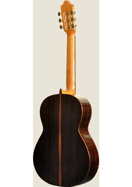 Klasik Gitar Sedir Kapak :camps Ispanya modelleri