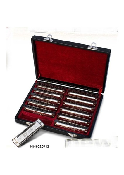 Mızıka Set 12' Li