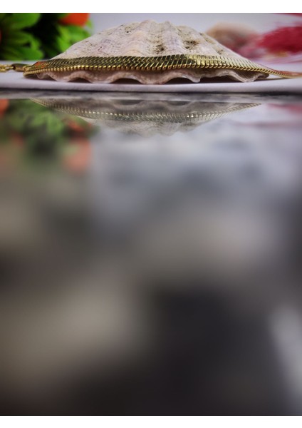 Italyan Zincir Tasarım Çelik Kararmaz Kadın Bileklik fiyatları