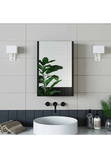 Banos Banyo Roomart Kulpsuz Tek Kapaklı Ahşap Siyah 40 cm Aynalı Banyo Üst Dolabı