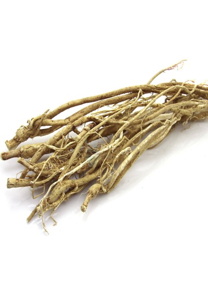 Çin Geveni 50 gr Geven Otu Astragalus