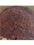 Kokopet / Cocopeat 70 Litre Hindistan Cevizi Torfu 2