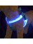 LED Işıklı Kedi Köpek Göğüs Tasması Küçük Irk Harness Air Mash Evcil Hayvan Ayarlanabilir Tasma 2
