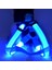 LED Işıklı Kedi Köpek Göğüs Tasması Küçük Irk Harness Air Mash Evcil Hayvan Ayarlanabilir Tasma 4