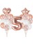 5 Yaş Rose Gold Balon Seti 1