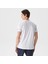 Erkek T-Shirt 5
