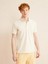 Polo Yaka %100 Pamuk Slim Fit Basic Tişört 1