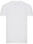 Tyre T-Shirt Beyaz Erkek T-Shirt RFTYRE23-10 2