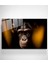 Monkey Cam Tablo, Dekoratif Cam Tablo 3