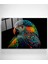 Colorful Feathered Bird Cam Tablo, Dekoratif Cam Tablo 3