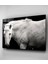 Siyah & Beyaz At Cam Tablo, Dekoratif Cam Tablo 4