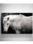 Siyah & Beyaz At Cam Tablo, Dekoratif Cam Tablo 1