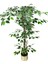 Yapay Ağaç Ficus 120 cm 15X15 cm Metal Saksı 3
