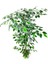 Yapay Ağaç Ficus 120 cm 15X15 cm Metal Saksı 4