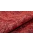 Mineralniyevodi Kırmızı Klasik Dijital Baskı Halı 5