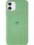 Apple iPhone 11 ile Uyumlu Kapak Yıldız Logolu Içi Kadife Lansman Silikon Kılıf - Yeşil 1