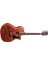 Elektro Akustik Gitar, Grand Audıtorıum Kasa, 1