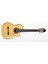 Elektro Klasik Gitar Ladin Kapak Fıshman Pro Blend 1