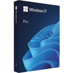 Microsoft Windows 11 Pro Lisans + Flash Bellek (16 Gb) Free Dos Için - Windows 11 Kurulum Usb'si - Sınırsız