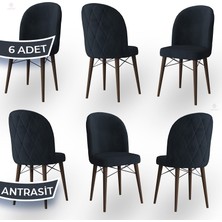 Canisa Concept Bika Serisi 6 Adet Mutfak Sandalyesi Ceviz Gürgen Ayaklı 1. Sınıf Babyface Kumaş