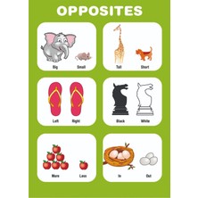 Wonder Like Okul Öncesi Ingilizce Zıt Sözcük Tablosu (50*70 Karton Poster)