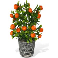 Nettenevime Yapay Çiçek Gri Seramik Saksıda Mandalina Ağacı 40CM