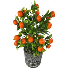 Nettenevime Yapay Çiçek Gri Seramik Saksıda Mandalina Ağacı 40CM