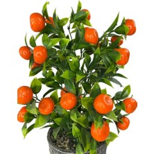 Nettenevime Yapay Çiçek Gri Seramik Saksıda Mandalina Ağacı 40CM
