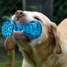 Simple Life Köpek Diş Fırçası Kemik Sağlam Köpek Etkileşimli Oyuncak (Yurt Dışından)