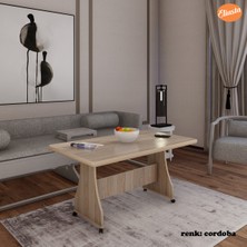 Eliusta Tekerlekli Mdf Masa %100 Mdf Orta Sehpa Salon Masa Sehpa