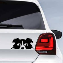 Asilmeydan Bagajdan Çıkan Sevimli Köpek Sticker - Araç Oto Araba Etiket, Çıkartma - Aksesuar -Modifiye -Arma