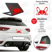 Asilmeydan Fransız Bulldog Köpek Kırmızı Sticker - Araç Oto Araba Etiket, Arma, Aksesuar, Modifiye, Tuning