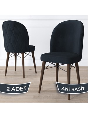 Canisa Concept Bika Serisi 2 Adet Mutfak Sandalyesi Ceviz Gürgen Ayaklı 1. Sınıf Babyface Kumaş