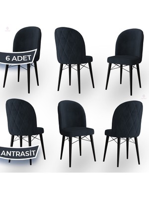 Canisa Concept Bika Serisi 6 Adet Mutfak Sandalyesi Siyah Gürgen Ayaklı 1. Sınıf Babyface Kumaş