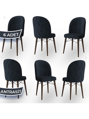 Canisa Concept Bika Serisi 6 Adet Mutfak Sandalyesi Ceviz Gürgen Ayaklı 1. Sınıf Babyface Kumaş