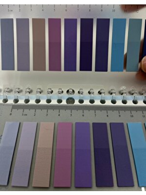 Kağıt Gemi Dükkan 10 Renkli Cetvelli Mor ve Mavi Tonları Şeffaf Pet Indeks / Index Sticker / Sticky Note / Post-It