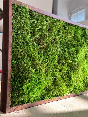 Plantarrium Design Flat Moss Çerçeve