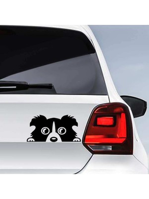 Asilmeydan Bagajdan Çıkan Sevimli Köpek Sticker - Araç Oto Araba Etiket, Çıkartma - Aksesuar -Modifiye -Arma