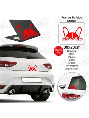 Asilmeydan Fransız Bulldog Köpek Kırmızı Sticker - Araç Oto Araba Etiket, Arma, Aksesuar, Modifiye, Tuning