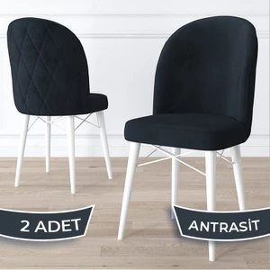 Concept Bika Serisi 2 Adet Mutfak Sandalyesi Beyaz Gürgen Ayaklı 1. Sınıf Babyface Kumaş